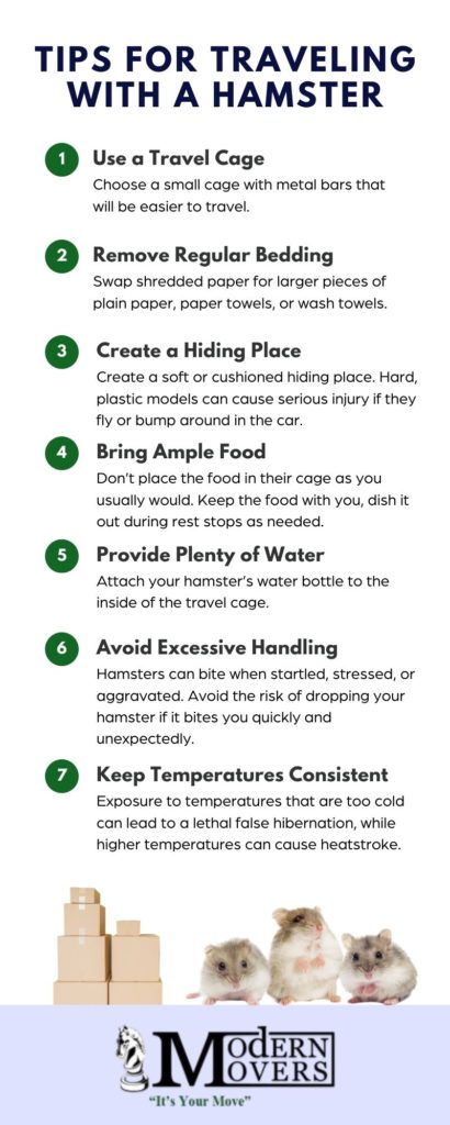 infographic on tips how to travel with your hamster.