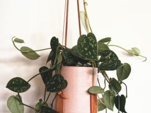 Hanging Planters- If you have little space, but dreaming of an indoor garden, our residential movers in Florida consider a hanging planter for your home.