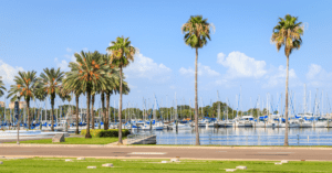 Palm trees and boats in St. Petersburg Florida